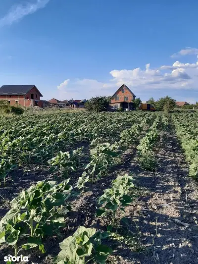 Ag EUROPA vinde 8 ari teren intravilan in Amati cu frontul de 30 metri
