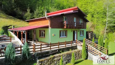 Casa de de vanzare in Pianu- Strungari