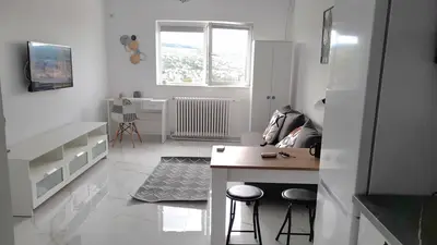 Gruia – Apartament 1 cameră renovat, mobilat, 21 mp