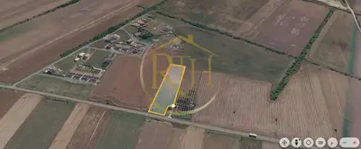 Teren intravilan 5.000 mp, Bucovăț, ideal dezvoltare case ! 0% Comision!