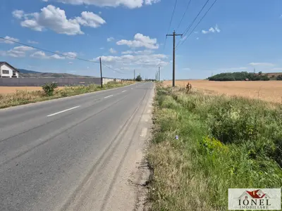 Vanzare teren 7300 mp in Vintu de Jos