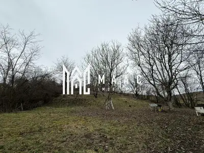 Teren 5000MP | Intravilan | Utilitati | Acces auto | SIBIU
