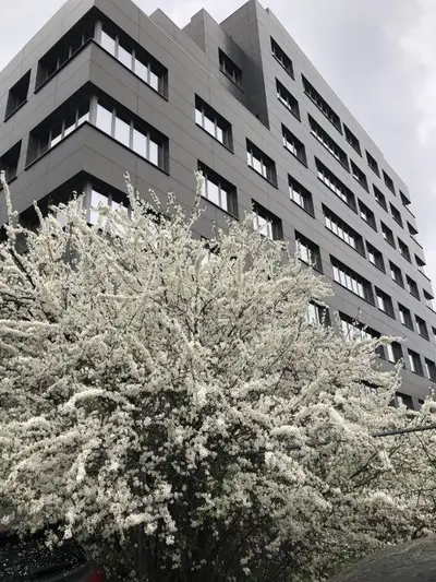 Spatiu comercial si   birouri intersectie Timpuri Noi, suprafata  250mp+terasa,