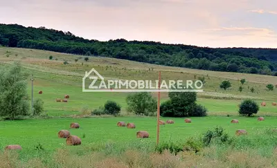 Teren intravilan 50 ari,Livezeni,iesire catre Ivanesti,28 eu/mp