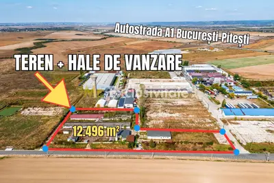 Hala industrial-comerciala Căteasca, Argeș | 12.600 mp teren