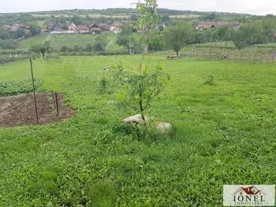 Teren intravilan de vanzare in Henig
