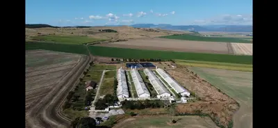 Teren 43884 mp intravilan, 4 hale 6000 mp, nod autostrada, Bogata